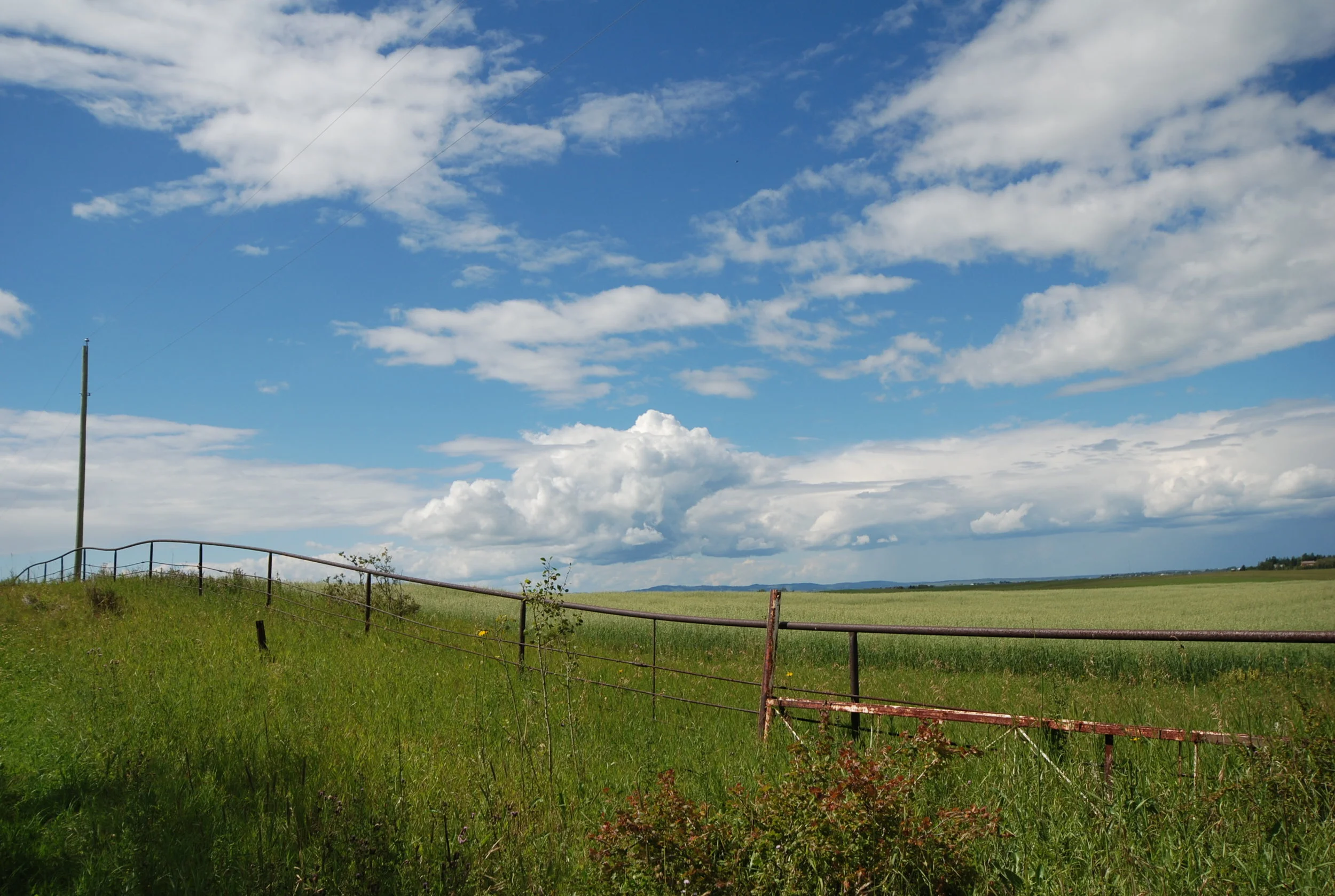 DSC_0081.JPG
