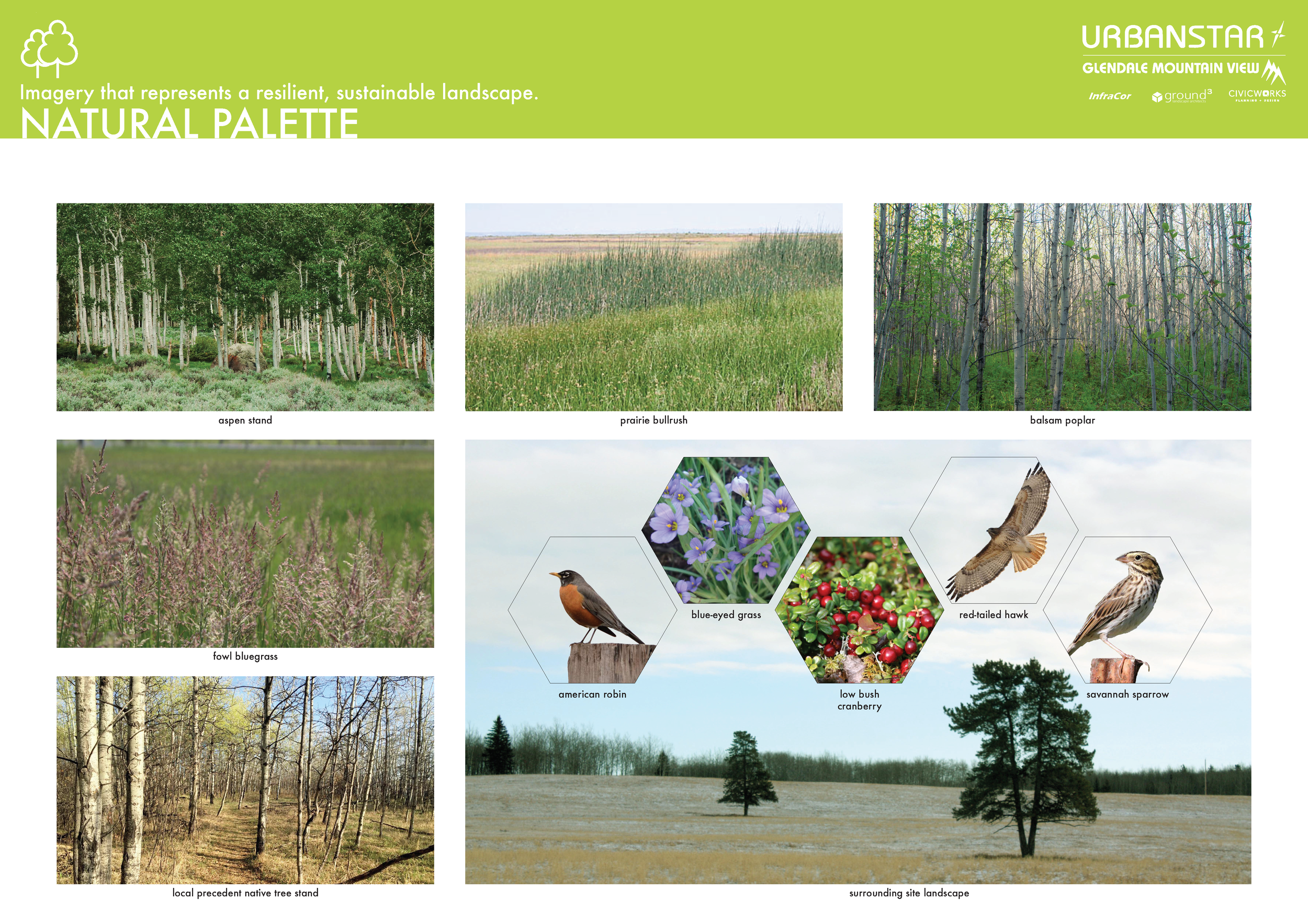 UrbanStar Boards 17_FINAL COMPILED_Page_22.png